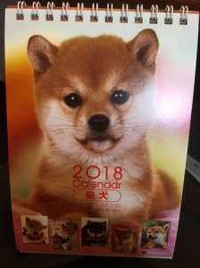 戌年が楽しみ♪