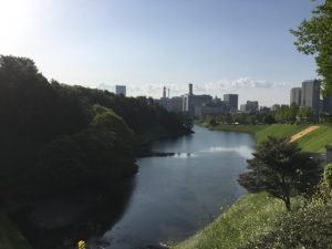 ✖皇居ラン　○皇居ウォーキング…（汗）
