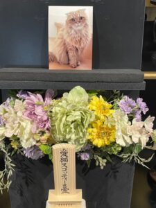 【愛猫追悼】獣医師先生に感謝!